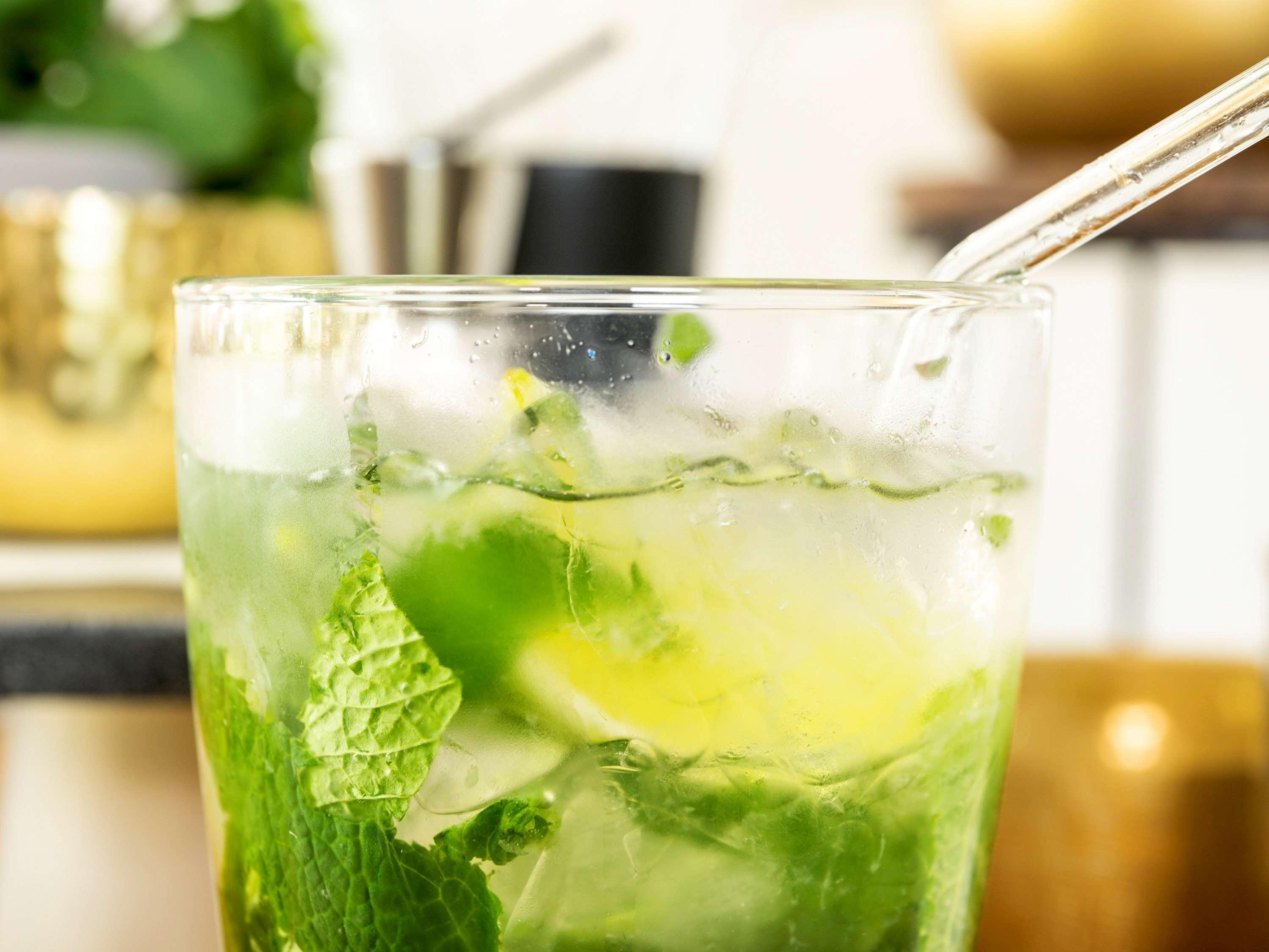 Novotel Chennai Sipcot 외부 사진 A mojito